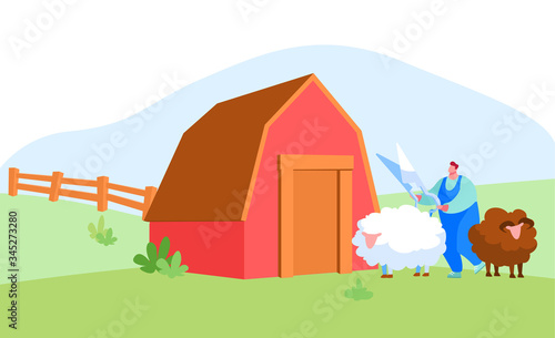 Male Farmer Shearing Sheep for Wool near Wooden Barn. Sheepshearer Character at Working Process on Farm. Shearer Man Removing Sheep Wool. Ewe Having Fleece Sheared Off. Cartoon Vector Illustration