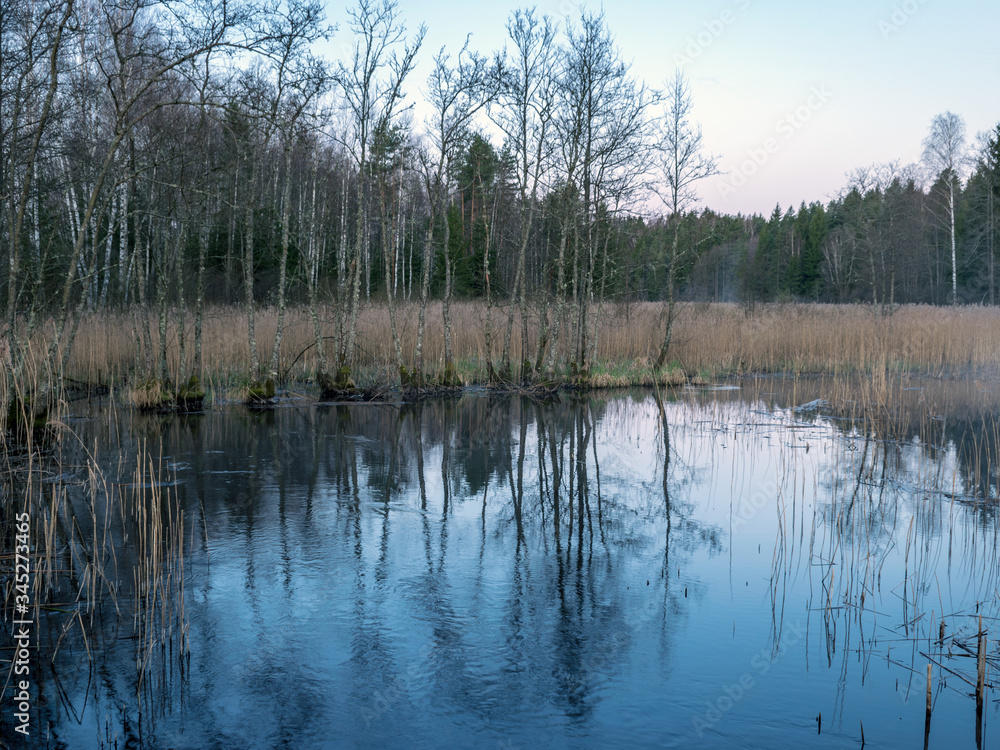 a small river in sunrise, tree reflections in the water, dry reeds, light before sunrise