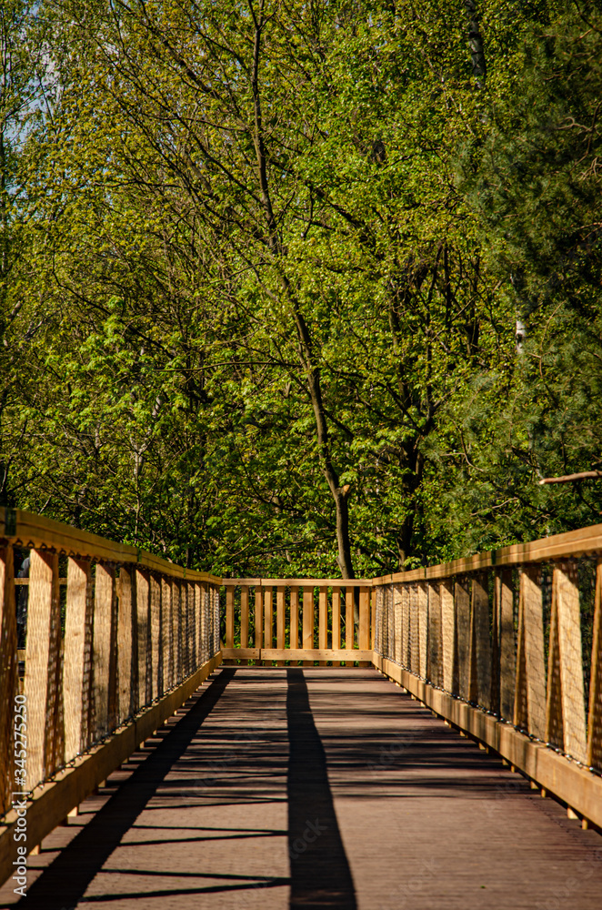 
wooden bridge in the park