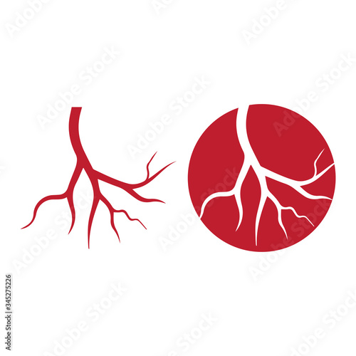human veins, red blood vessels design and arteries Vector illustration isolated