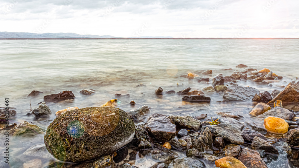 Obraz premium spherical cladophore. The Linnaeus Aegagropilalies on land along the coast. spherical moss lies on the lake among small stones . small stones piled up along the shore.