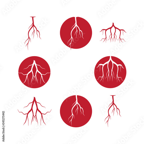human veins, red blood vessels design and arteries Vector illustration isolated