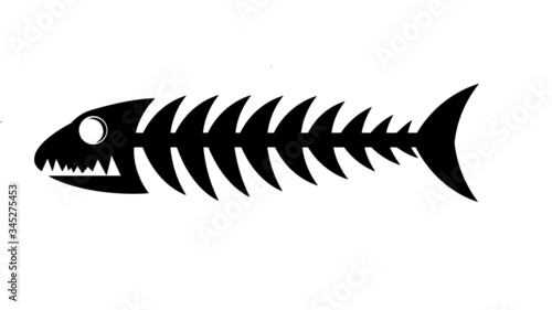 Photography vector illustration of a fish