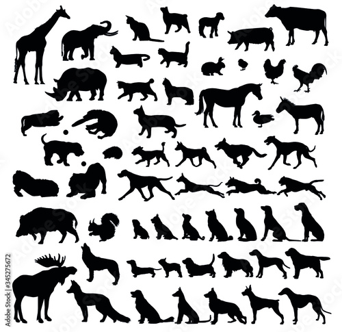 Black icon set dogs. animal icons in set collection for design. Toy animals bitmap symbol stock web illustration.