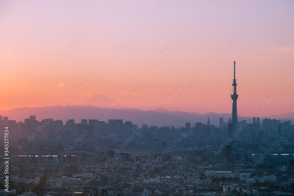 Tokyo skyline during twilight hours and the view of Mount Fuji