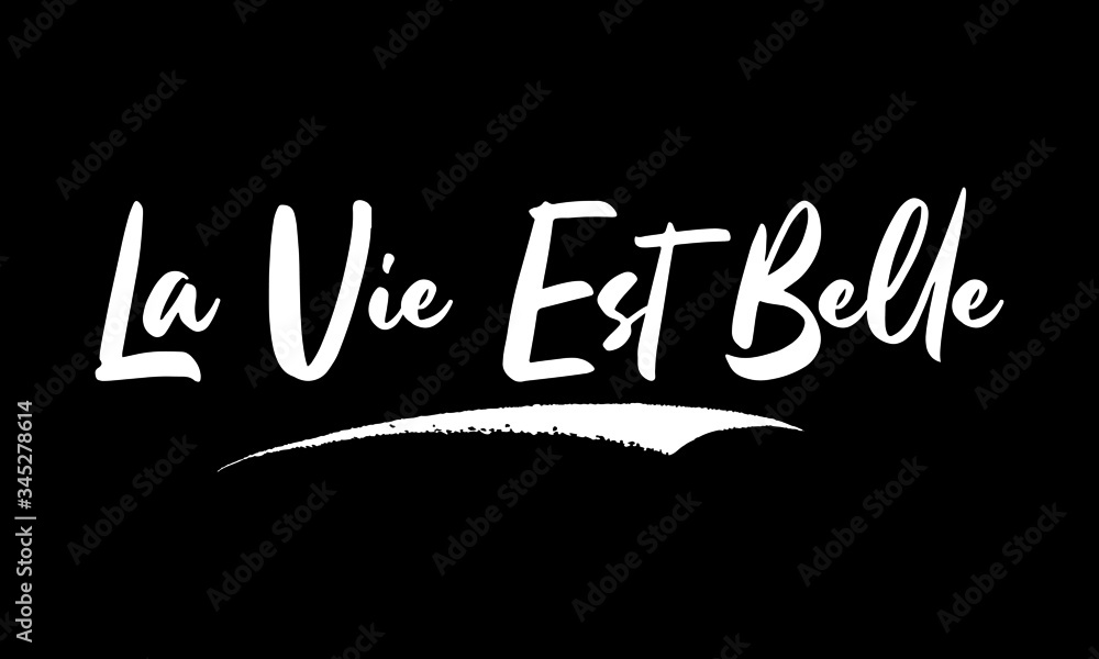 La Vie Est Belle Calligraphy White Color Text On Red Background