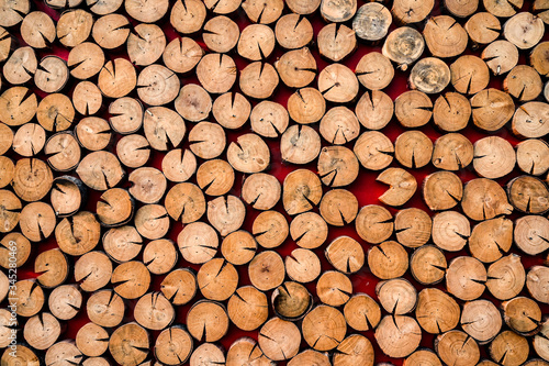 Pattern of sliced wood for background and texture. photo