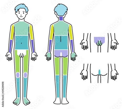 男性 脱毛箇所 体