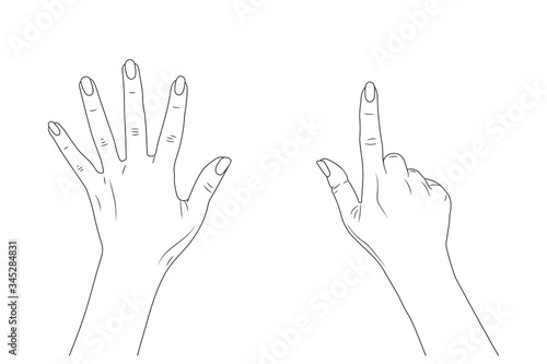 Women's hands. index finger up. show the number seven. EPS 10 vector stock illustration. Outline.