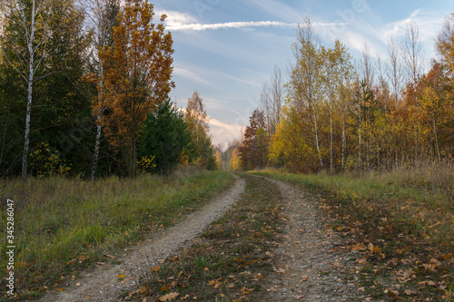 Fototapeta Naklejka Na Ścianę i Meble -  jesienna wiejska droga 