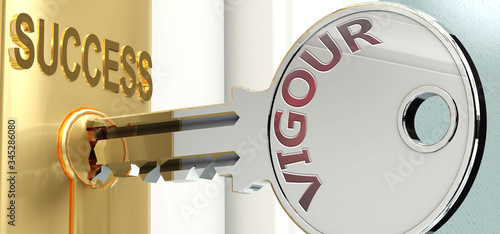 Fotografija Vigour and success - pictured as word Vigour on a key, to symbolize that Vigour