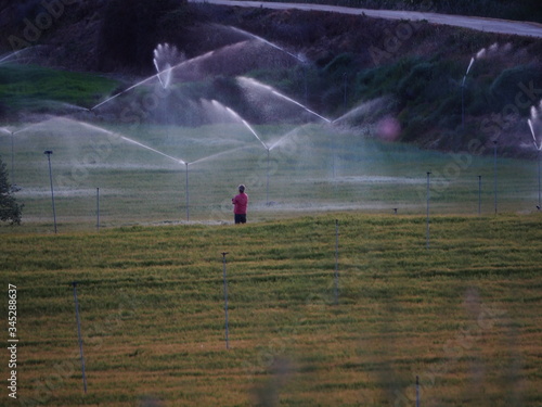 un hombre vigilando el buen funcionamiento del sistema de regadio en mollerussa, lerida, españa, europa 