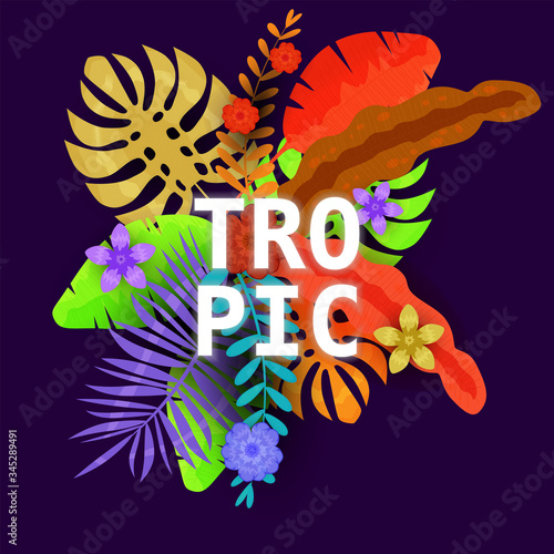 Summer trendy tropical leaves exotical plants palm jungle leaf