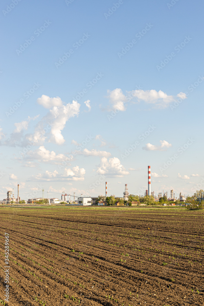 Agriculture crop fields with young wheat plants with chemical plant factory in the background