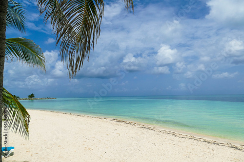 Wonderful beach palm view on the Bahamas