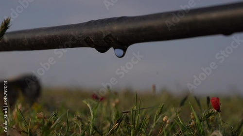 A drip irrigation with a plant in agricultural field. Close up