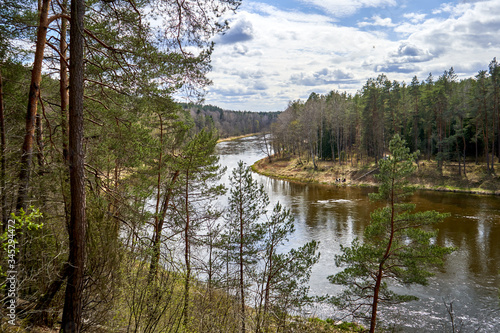 River flowing through the forest during spring time