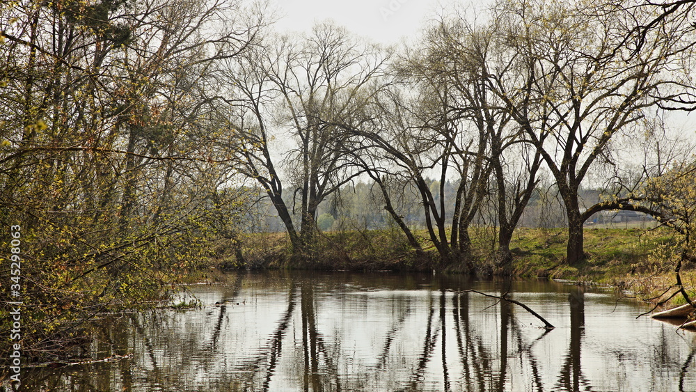 Beautiful little forest river turn with bare trees on shore and reflection in calm water at spring day, scenery nature landscape Beautiful little forest river turn with bare trees on shore and reflection in calm water at spring day, scenery nature landscape