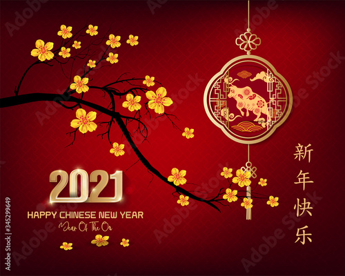 Happy new year 2021. Chinese new year, year of the ox (Chinese translation : Happy chinese new year)
