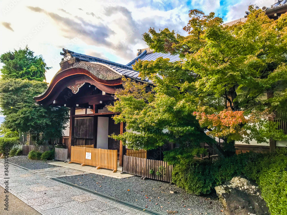 Fototapeta premium 寺 道