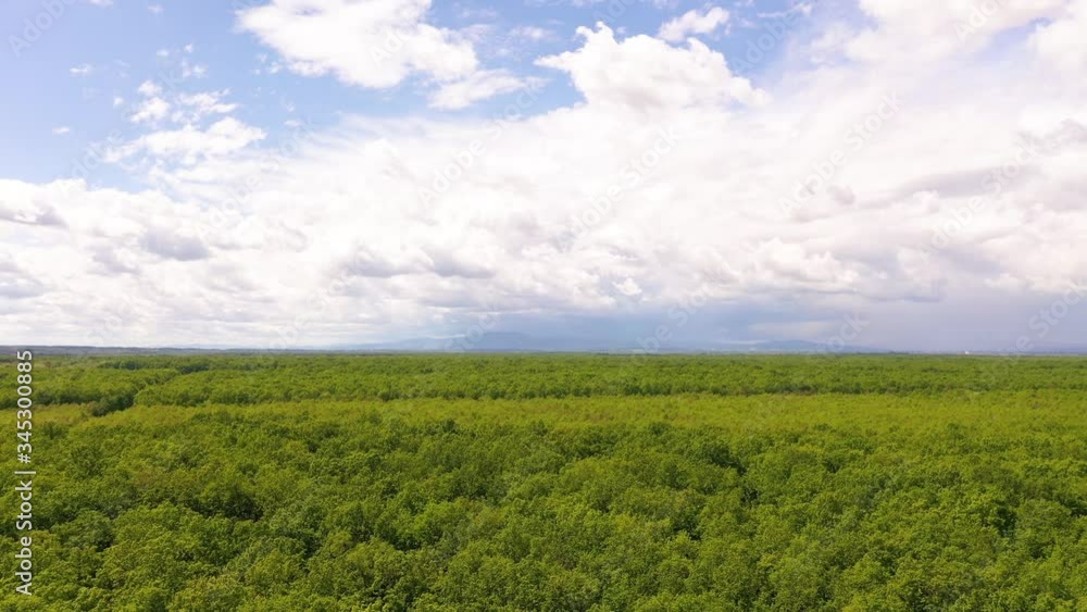 Aerial view of treetops forest near Zagreb during cloudy day, Croatia. Aerial view of treetops forest near Zagreb during cloudy day, Croatia.