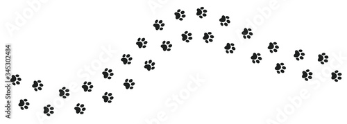 Cat paw. Pet foot trail print. Step shape. Vector illustration