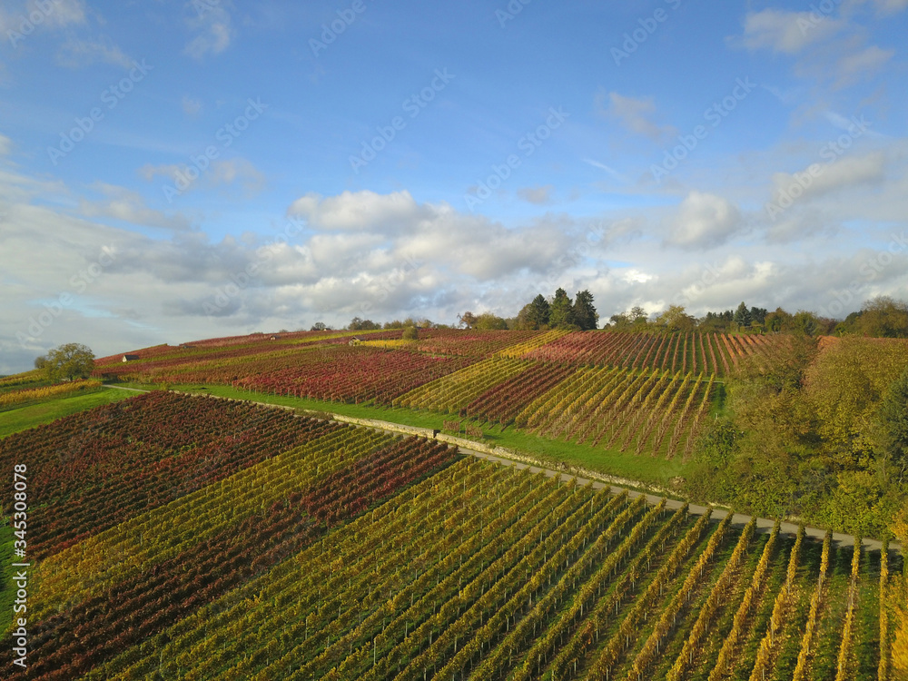Aerial view onto a vineyard in southern germany