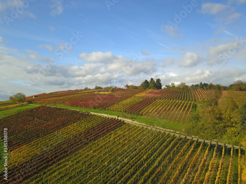 Aerial view onto a vineyard in southern germany