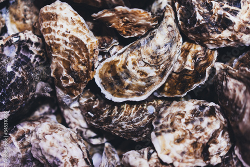 closed oysters  fresh oyster shell  mollusks in seafood market  aphrodisiac sea restaurant  expensive fresh food  dish menu