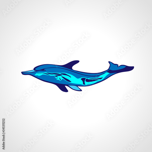 Free diver and dolphin. Freediving color logo vector