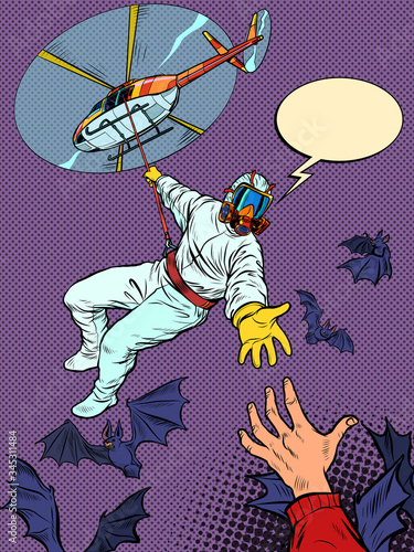 wild animals bats are vectors of infection, the risk of an epidemic