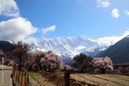 Through the mountains and wild pink peach blossoms, looking at Nanjiabawa Peak, against the blue sky, white clouds, and green water, it is even more steep and majestic! photo