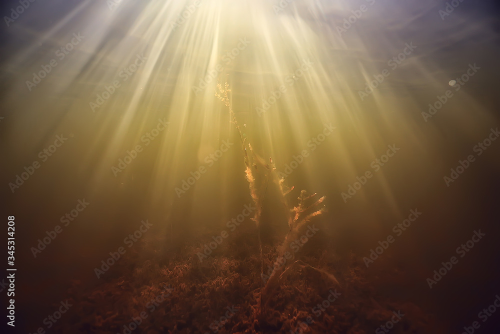 Fototapeta premium rays of light underwater fresh lake, abstract background nature landscape sun water