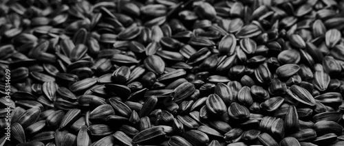 Cuadro en lienzo Sunflower seed texture background