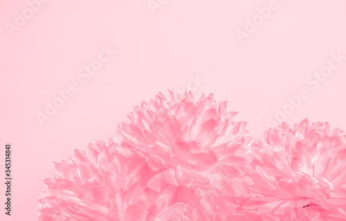 Beautiful abstract color orange pink flowers on white background and purple graphic white flower frame and pink leaves texture, pink background, colorful orange graphics banner 