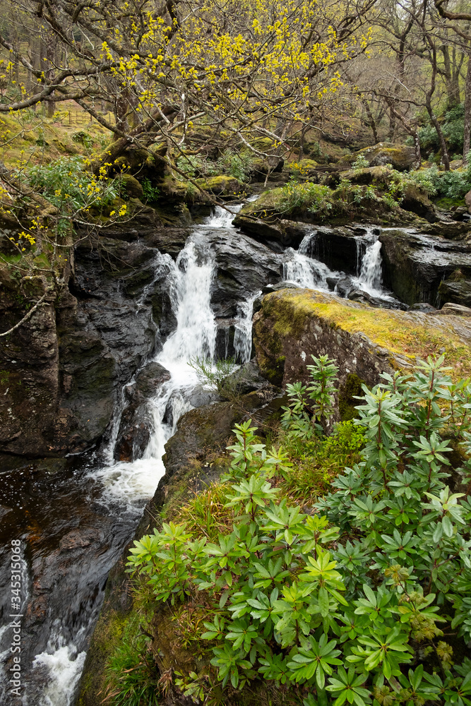 Cascada en el recorrido de la West Highland Way, cerca de Inversnaid en el Parque Nacional de Loch Lomond y los Trossachs.