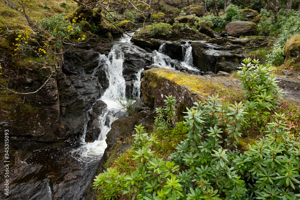 Cascada en el recorrido de la West Highland Way, cerca de Inversnaid en el Parque Nacional de Loch Lomond y los Trossachs. Cascada en el recorrido de la West Highland Way, cerca de Inversnaid en el Parque Nacional de Loch Lomond y los Trossachs.