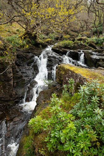 Cascada en el recorrido de la West Highland Way  cerca de Inversnaid en el Parque Nacional de Loch Lomond y los Trossachs.