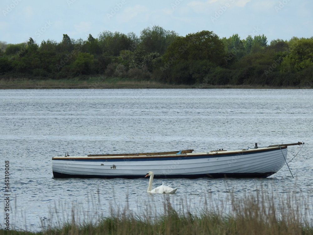 Lonely boat on the water, swan and landscape Lonely boat on the water, swan and landscape