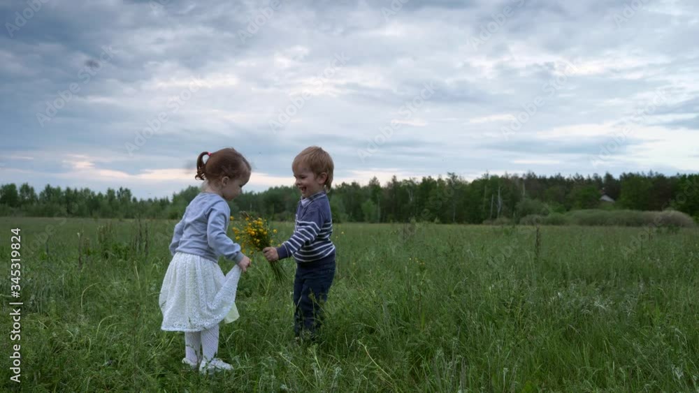 Happy Little Boy Runs and Gives Wildflowers to Cute Girl Standing on Grass in the Field. Slow motion Evening Rural Landscape Happy Little Boy Runs and Gives Wildflowers to Cute Girl Standing on Grass in the Field. Slow motion Evening Rural Landscape