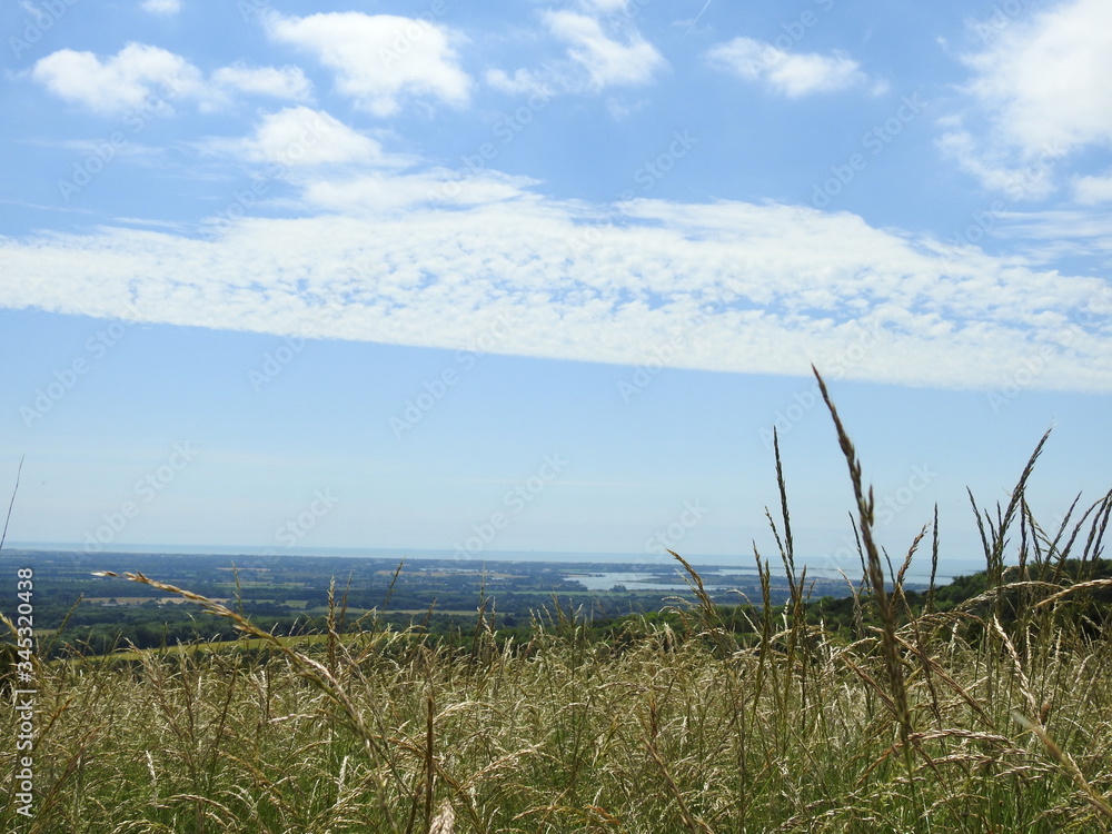 Panoramic view of meadow fields, forests and more Panoramic view of meadow fields, forests and more