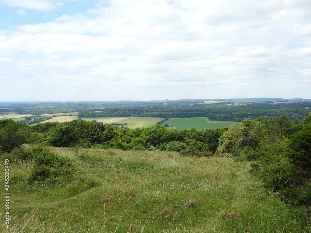 Fototapeta premium Panoramic view of meadow fields, forests and more
