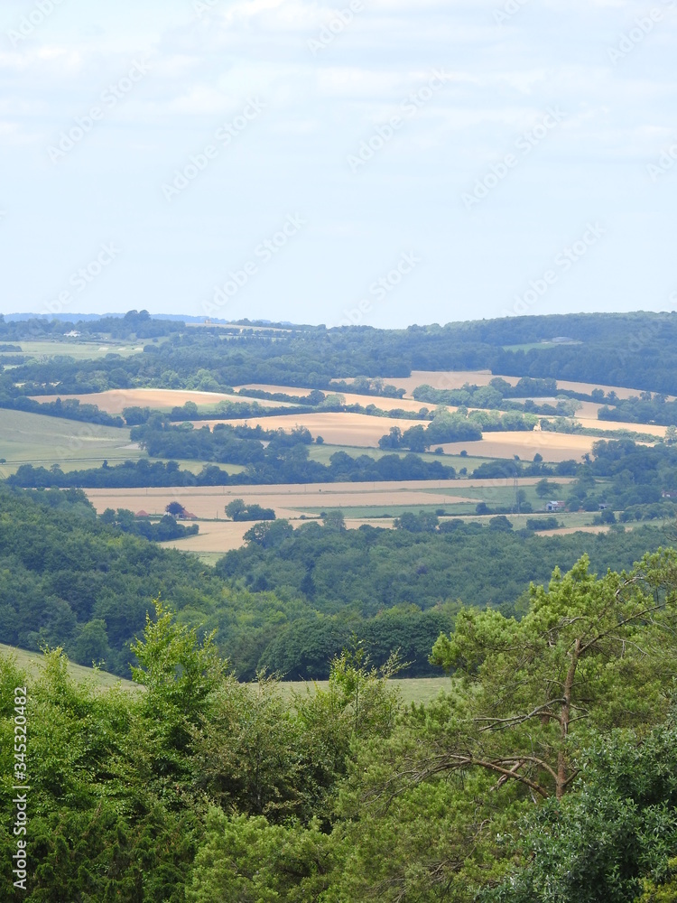 Fototapeta premium Panoramic view of meadow fields, forests and more
