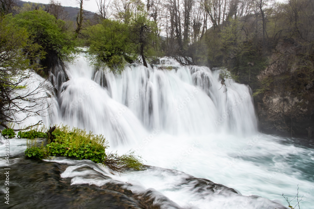 Obraz premium waterfall in the forest