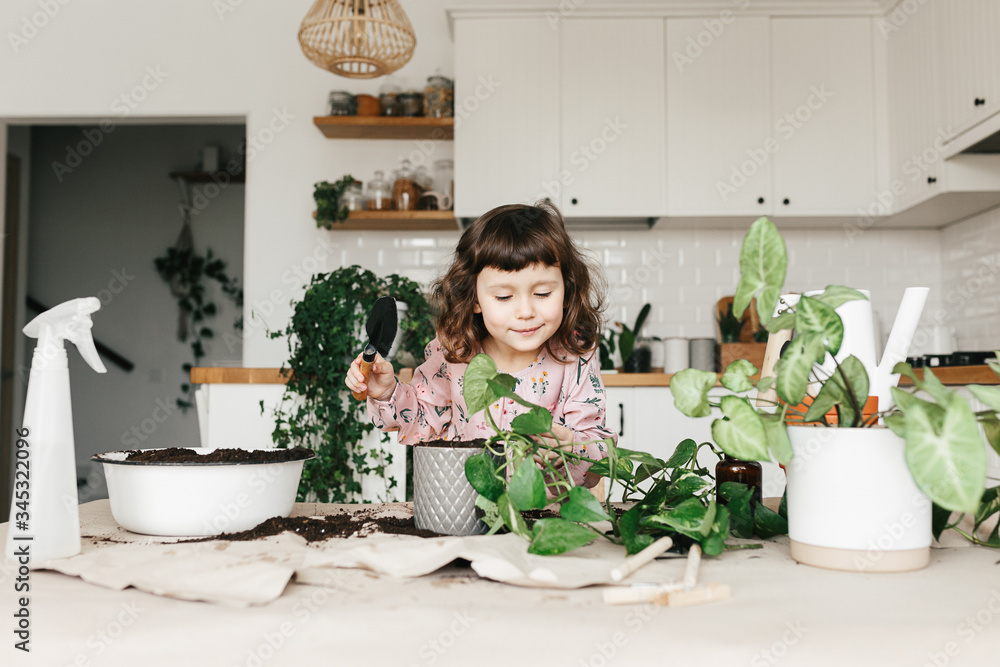Adorable child girl is planting a houseplant in pot at home. Adorable child girl is planting a houseplant in pot at home.