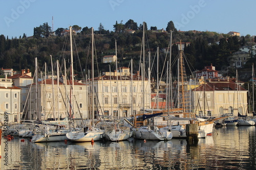 Sailboats in harbour