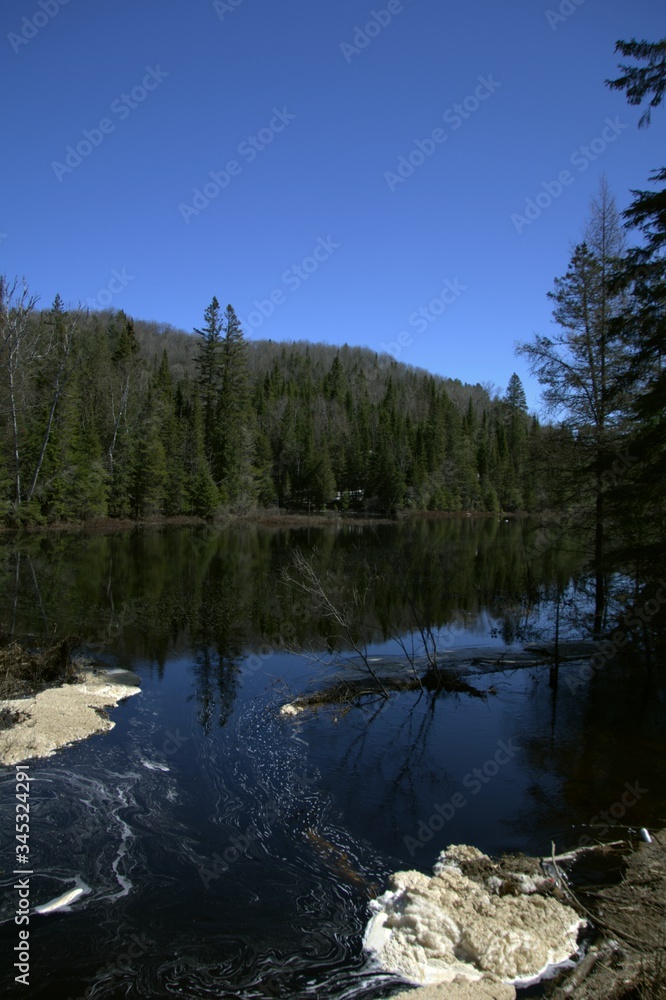 Grande rivière du Québec, Canada, au printemps