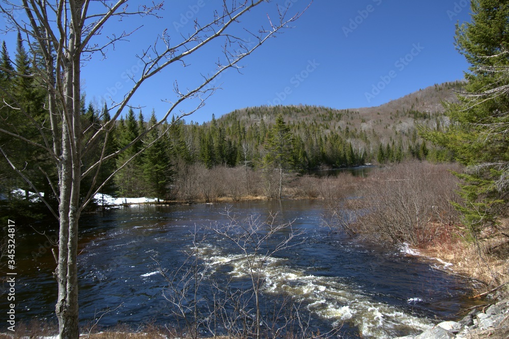 Grande rivière du Québec, Canada, au printemps