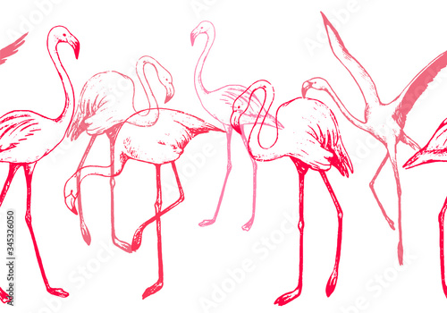 Beautiful standing flamingos. Hand drawn vector horizontal seamless pattern. Pink exotic birds background. Vintage tropical colored wallpaper. Gentle design for wrap, textile, postcard, print, fabric.