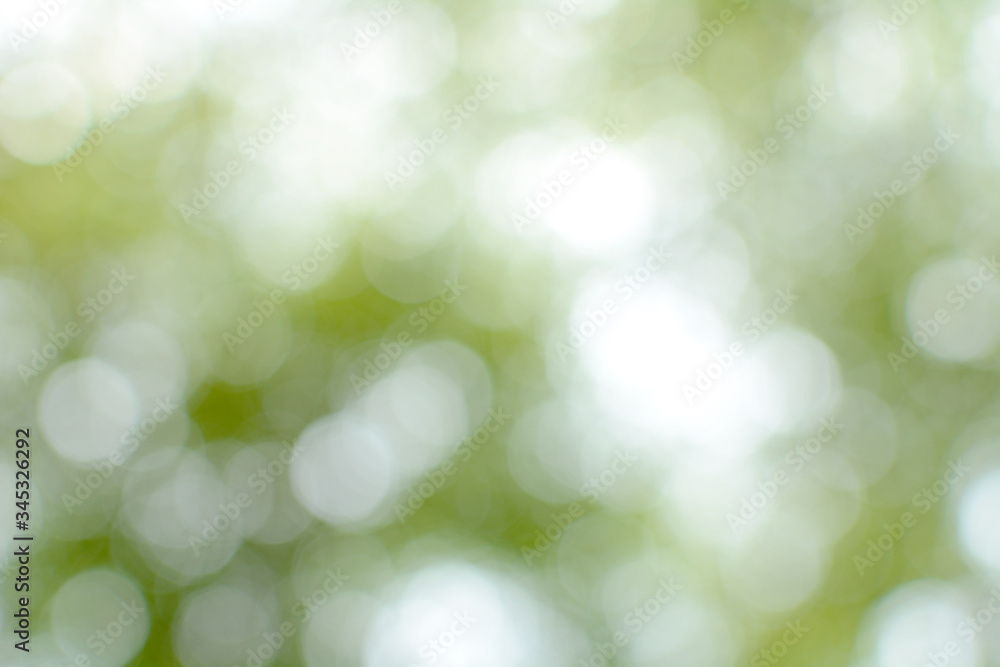 Obraz premium Green leaves blurred on a hot Sunday afternoon. Green bokeh and blurred backgrounds.